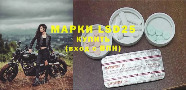 прущие грибы Армянск