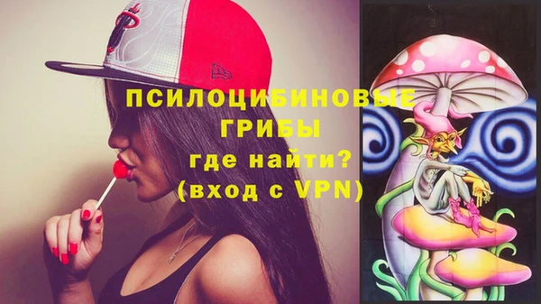 прущие крисы Арсеньев